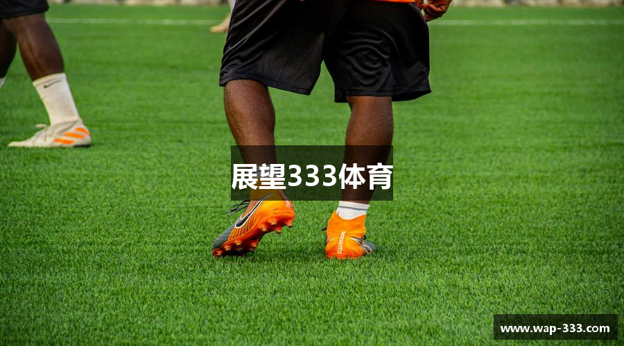 展望333体育
